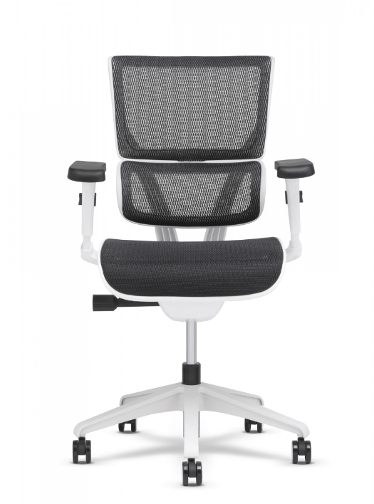 X-Chair - XS - Vision Small Mgmt Chair