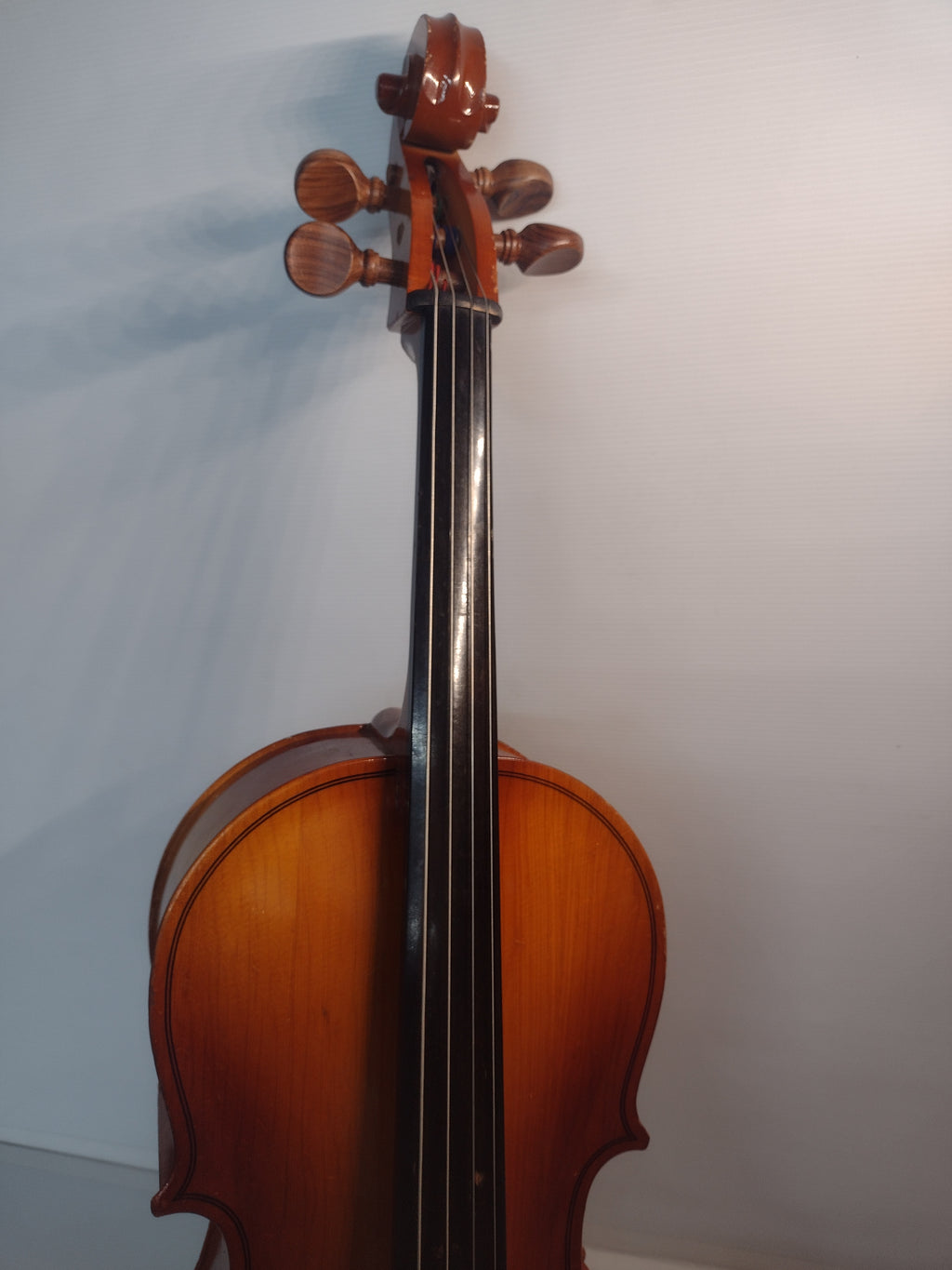 Englehardt 55 1/2 (40") Student Cello - with bag