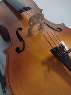 Englehardt 55 1/2 (40") Student Cello - with bag