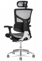 X-2 K-Sport Management Chair
