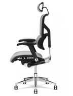 X-2 K-Sport Management Chair